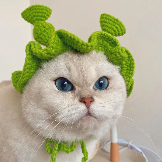 Green Shrek Pet Knitted Hat