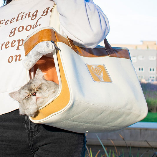 Pet Outdoor Handbag