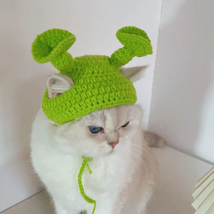 Green Shrek Pet Knitted Hat